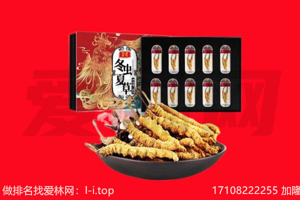 辽源市东丰回收虫草.jpg